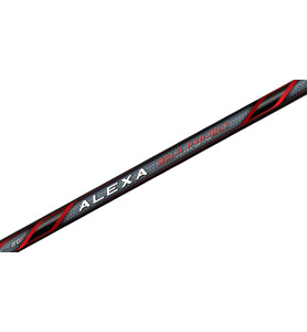 CANNA_COLMIC_ALEXA_BOLO_PROJECT__1776360866_2.jpg