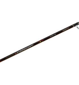 CANNA_COLMIC_SUPERIOR_CHALLENGE__1777985390_0.jpg