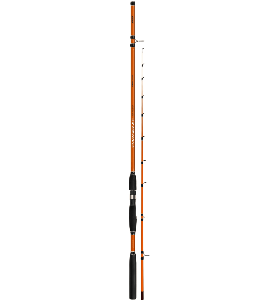 CANNA_COLMIC_PANTER_XT_BOLENTINO_1777983791_0.png