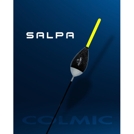 GALLEGGIANTE_SALPA_COLMIC_GR._1__1778095686_0.jpg